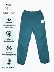 Брюки софтшелл Drive TEAL