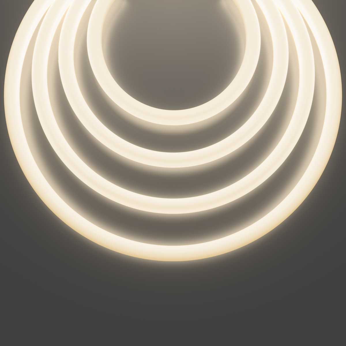 Гибкий неон Maytoni Led Strip 433002