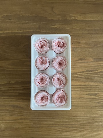 Роза пиновидная светло-розовая d=4-5 см (упак 8 шт)