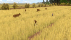 Forgotten Fields (для ПК, цифровой код доступа)