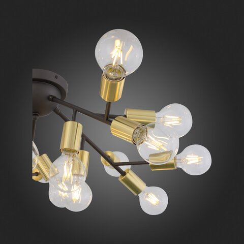Люстра потолочная ST Luce Foglione SL437.402.20