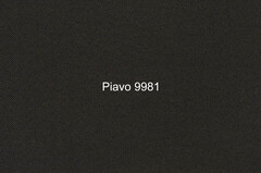 Шенилл Piavo (Пиаво) 9981