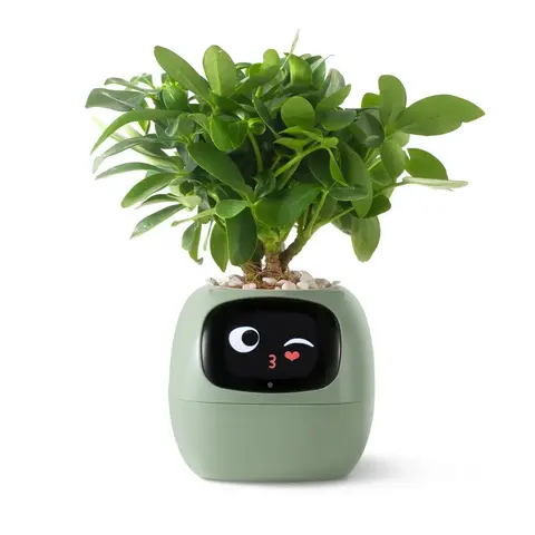 Кашпо с автополивом Ivy Smart Planter