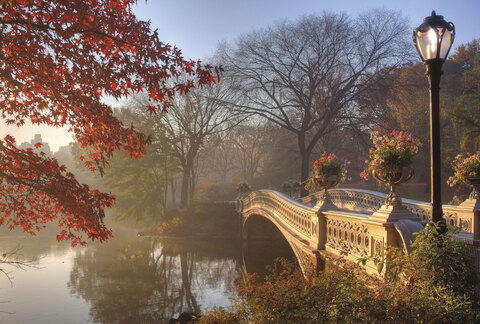 Коллекция Мосты