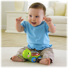 Mattel Fisher Price Зверюшка с прыгающими шариками (в ассортименте) (BGX29)