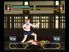 Fighting Beauty (Playstation 2)