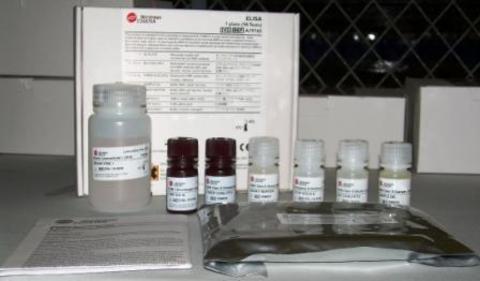 Набор реагентов для определения антиспермальных антител в сыворотке, 96