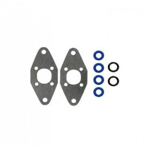 Комплект прокладок RAVE клапана SPI 09-719203 для BRP, Ski Doo, Lynx (420430220, 420430110)