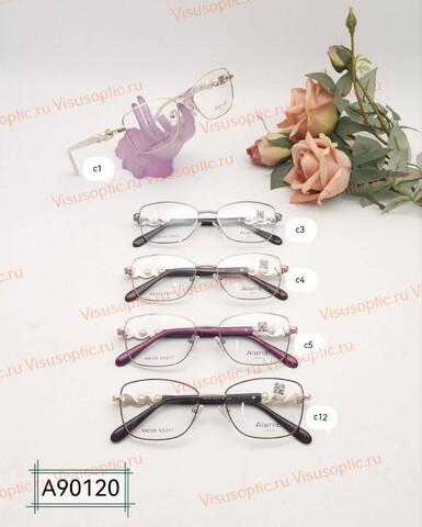 Оправа очков Alanie A90120 Алания