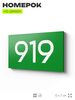 Номер на дверь 919, табличка на дверь для офиса, квартиры, кабинета, аудитории, склада, зеленая 120х70 мм, Айдентика Технолоджи