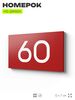 Табличка с номером 60 на дверь квартиры, для офиса, кабинета, аудитории, склада, красная 120х70 мм, Айдентика Технолоджи