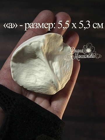 Молды Набор 