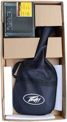 Электрогитара PEAVEY Raptor Plus Pack Black