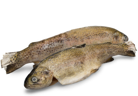 Форель радужная замороженная 400/500~1кг