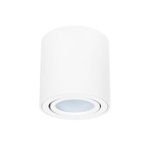 Накладной светильник Arte Lamp BEID A1513PL-1WH
