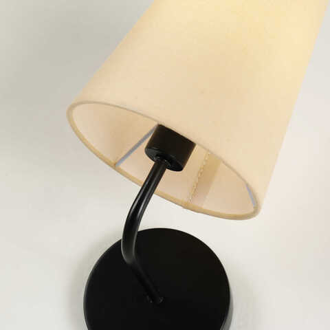 Настенный светильник Favourite Pfefferling 2364-1W