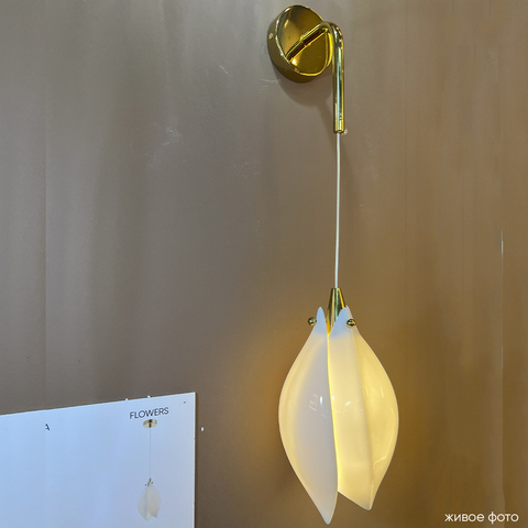 Настенный светильник Crystal Lux FLOWERS AP1