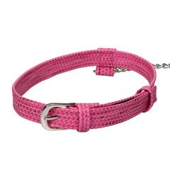 Розовый ошейник с поводком Tickle Me Pink Collar With Leash - 