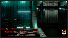 Shiny: Deluxe Edition (для ПК, цифровой код доступа)