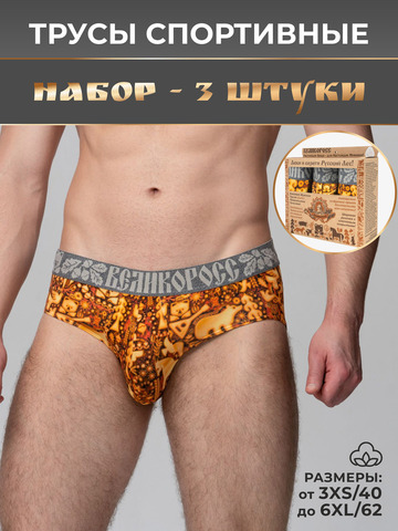 Комплект из 3-х спортивных трусов - «Праздничный лес»
