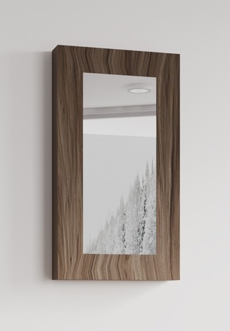 Зеркало Форма