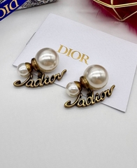 48122-sergi-pusety-diorki-dior-bronza