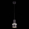 Светильник подвесной ST Luce Panaggio ST102.443.12