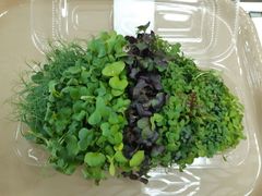 Микрозелень Микс, 100гр (По предзаказу, читать описание)