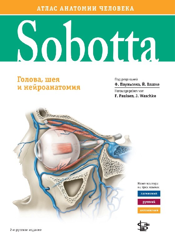 Новинки Sobotta. Атлас анатомии человека. Том 3. Голова, шея и нейроанатомия Sobotta_t3.jpg