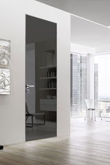 Дверь Спейс / Цвет Зеркало графит / Двери Belwooddoors