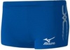 Шорты Женские Mizuno Premium W's Tights волейбольные