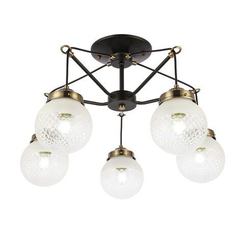 Светильник потолочный Evoluce Stricce SLE110302-05