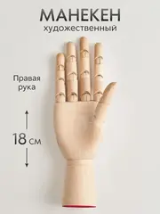 Манекен художественный для рисования и творчества рука человека 18 см правая, деревянная