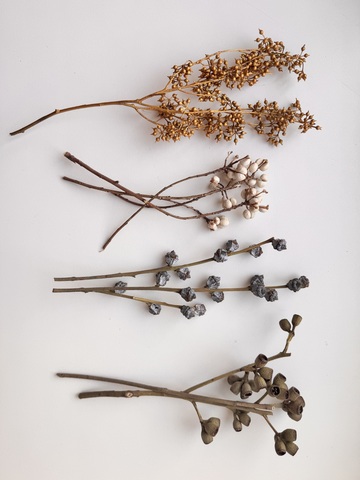 Набор для творчества плоды «Декор природными материалами» (12-18см)