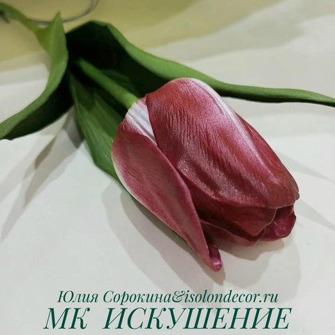 Молд пластиковый+Вайнер силиконовый 