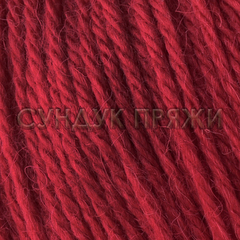 Baby Alpaca 46035