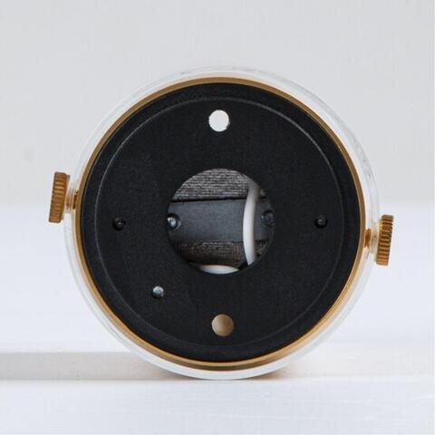 Накладной светильник Arte Lamp LAZIO A5365PL-1SG