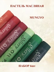 Пастель масляная мягкая профессиональная MUNGYO Gallery Набор №9 (6шт)