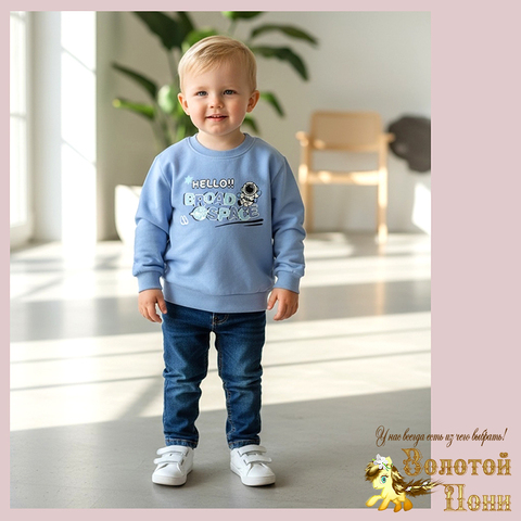 Свитшот трикотаж м (74-98) 251205-Y5114