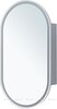 Aquanet 344787 Зеркальный шкаф Монте (овал) 50х90 LED (344787)