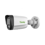 Камера видеонаблюдения IP Tiandy TC-C34WS I5W/E/Y/4/V4.2