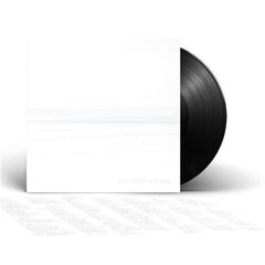 Foo Fighters / But Here We Are (LP)