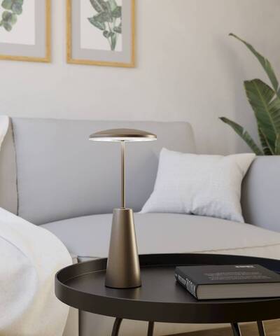 Аккумуляторная настольная лампа Eglo PICCOLA 900924