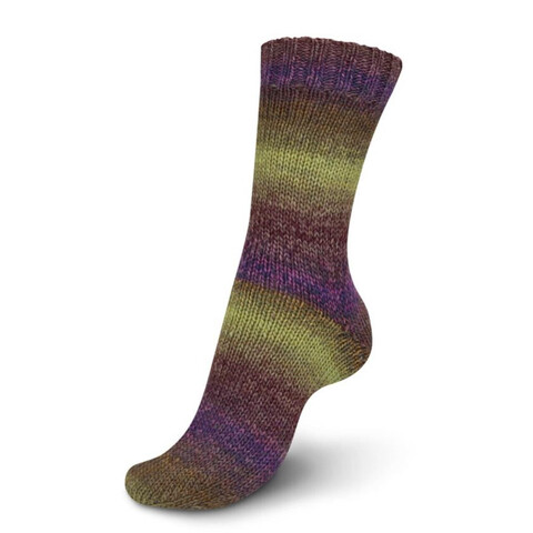 Regia Virtuoso Color 3078