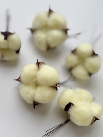 Хлопок Ванильный с натуральными волокнами на проволке (цена за 1 шт)