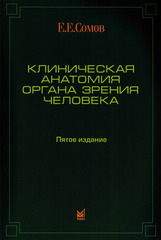 Клиническая анатомия органа зрения человека