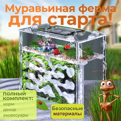 муравьиная ферма