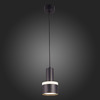 Светильник подвесной ST Luce Panaggio ST102.443.12