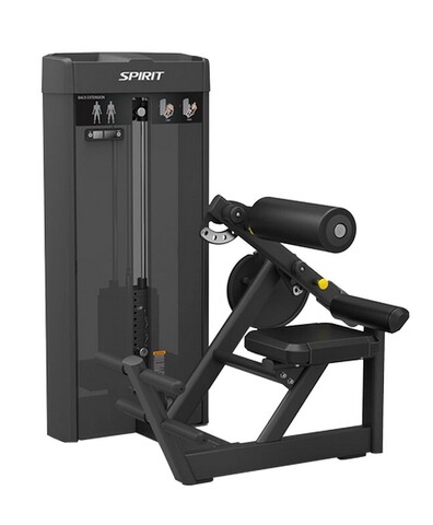 Разгибание спины Spirit Fitness SP-4310. Стек 128 кг