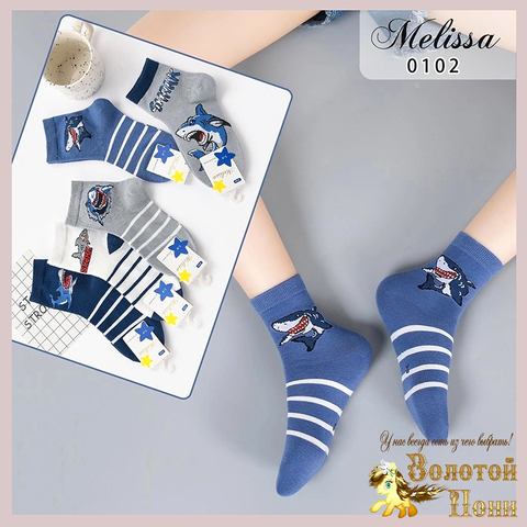 Носки хлопок м (3-9) 241107-V1041